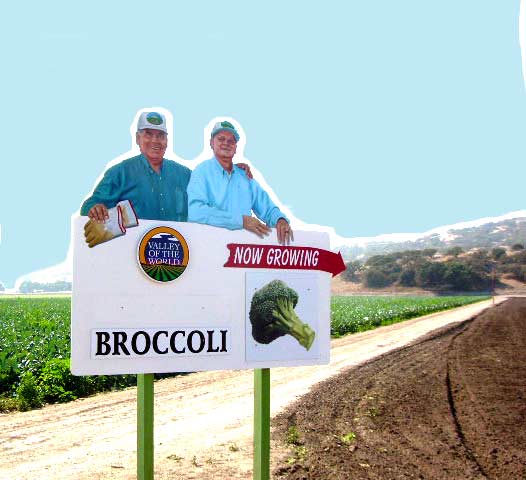 broccoliDSCN0213.jpg