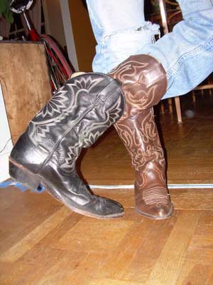 cowboybootsDSCN0462.jpg