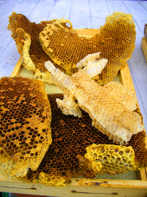 807honeycomb.jpg