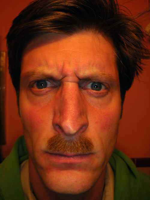 1207stache.jpg