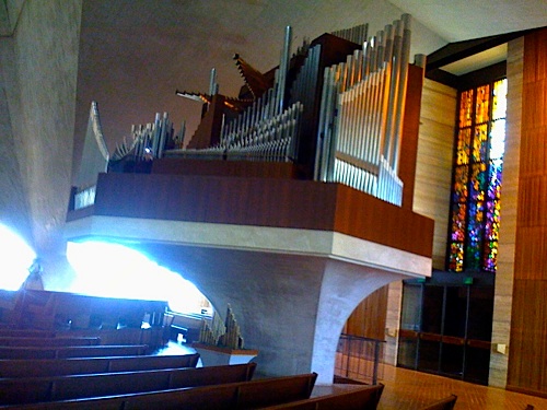 organ